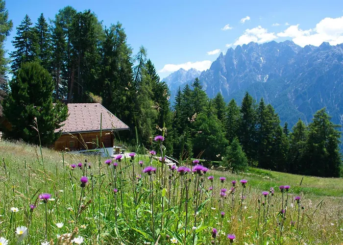 Chalet Bergquellenhuette *